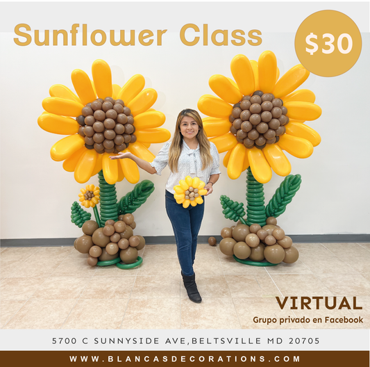 Sunflower Virtual Class