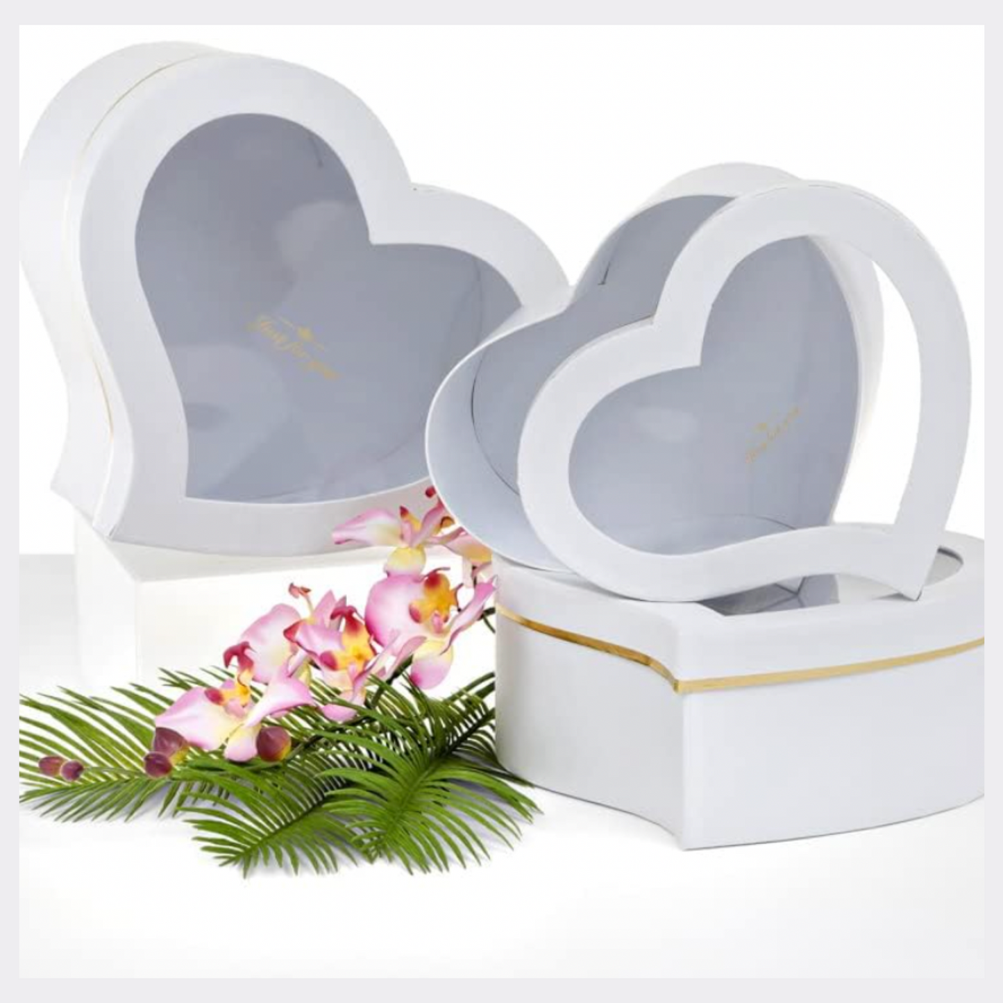 Heart Shaped Box Clear lid set of 3